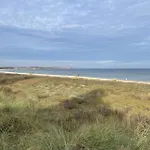Strandflieder 110 民宿