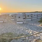 Strandflieder 110