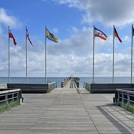 Strandflieder 110 *